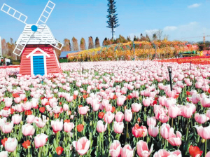 微信图片_20240202085003 微信图片_20240202085003