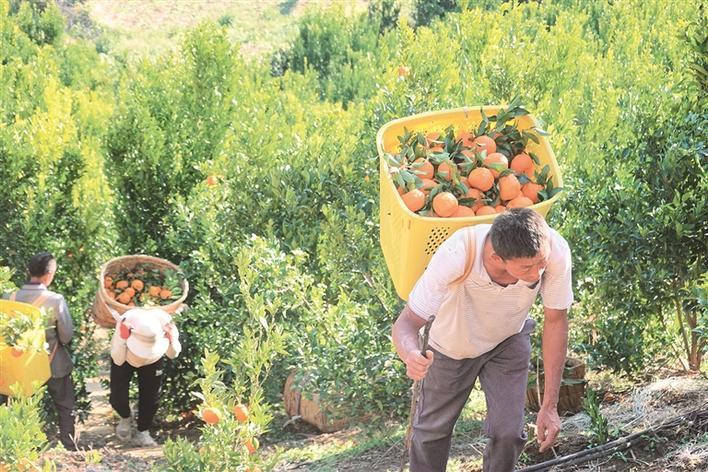 企业微信截图_17071781241533 企业微信截图_17071781241533