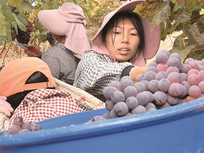 企业微信截图_17071781319258 企业微信截图_17071781319258