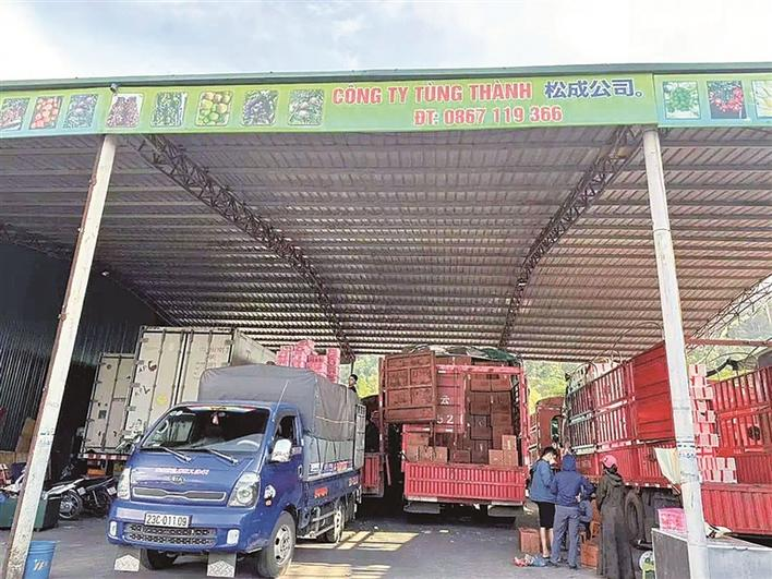 1707178135951 1707178135951