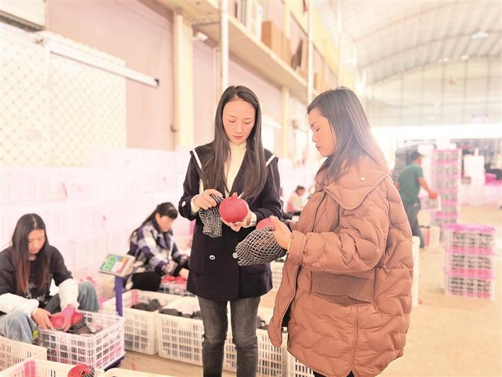 企业微信截图_17071781451195 企业微信截图_17071781451195