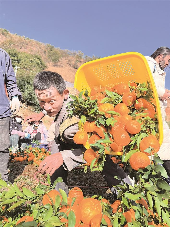 企业微信截图_17071781504962 企业微信截图_17071781504962