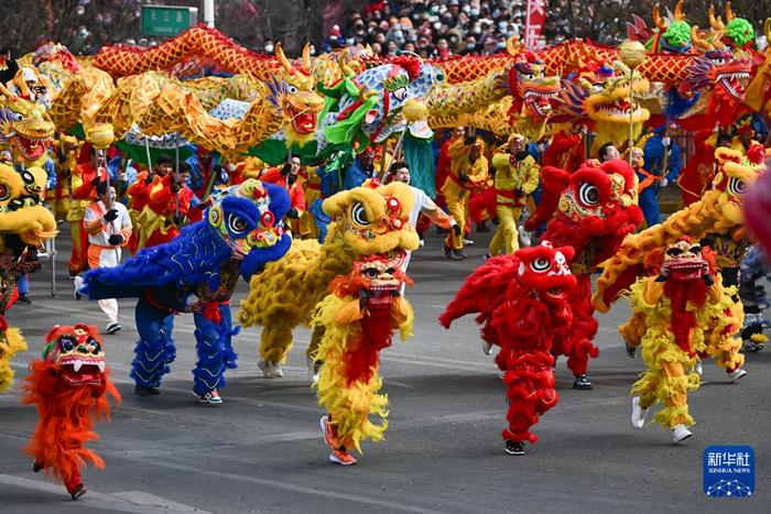 2月19日，在青海省西宁市，舞狮队员在社火巡游活动中表演。新华社记者 张龙 摄