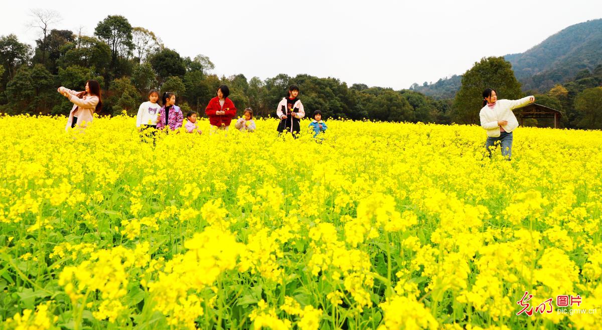 【万象“耕”新春光图】繁花盛开 彩绘春天