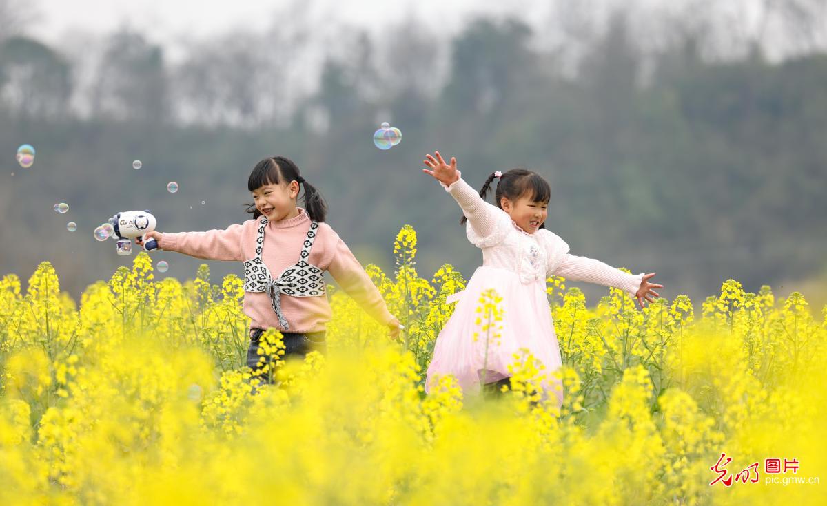 【万象“耕”新春光图】繁花盛开 彩绘春天