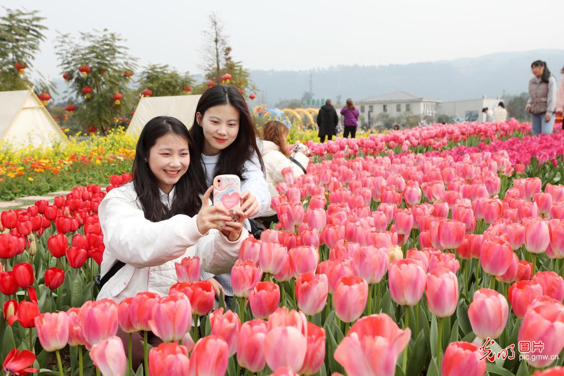 【万象“耕”新春光图】繁花盛开 彩绘春天