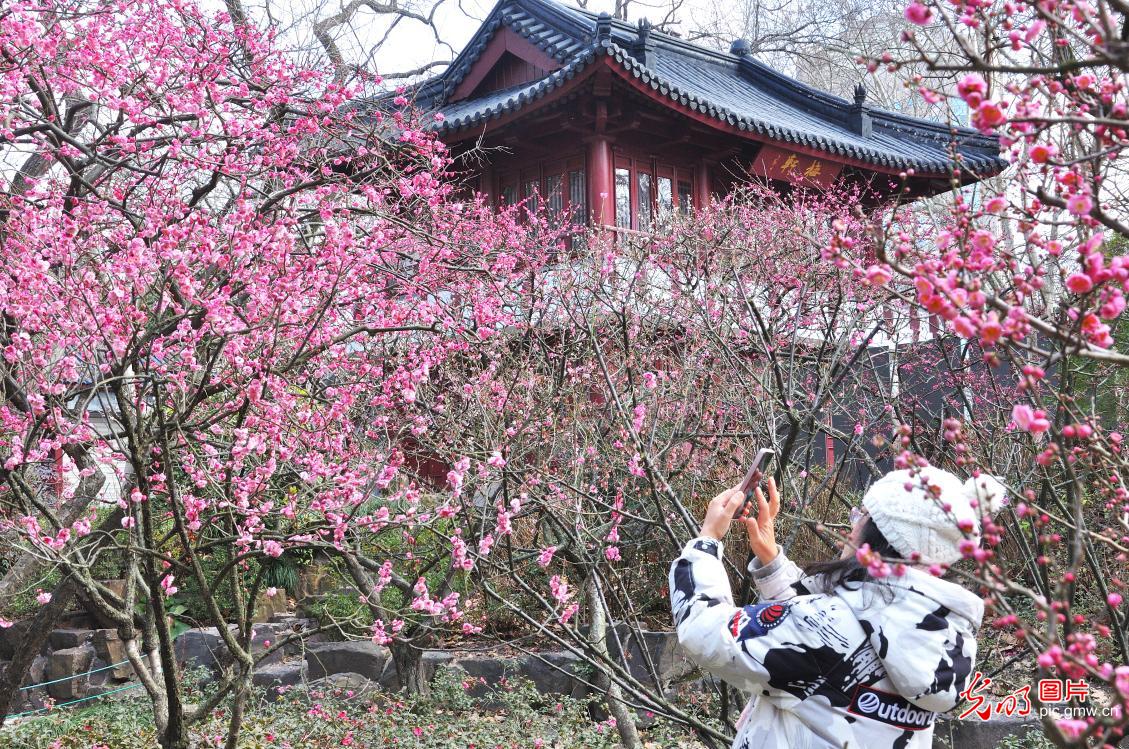 【万象“耕”新春光图】繁花盛开 彩绘春天