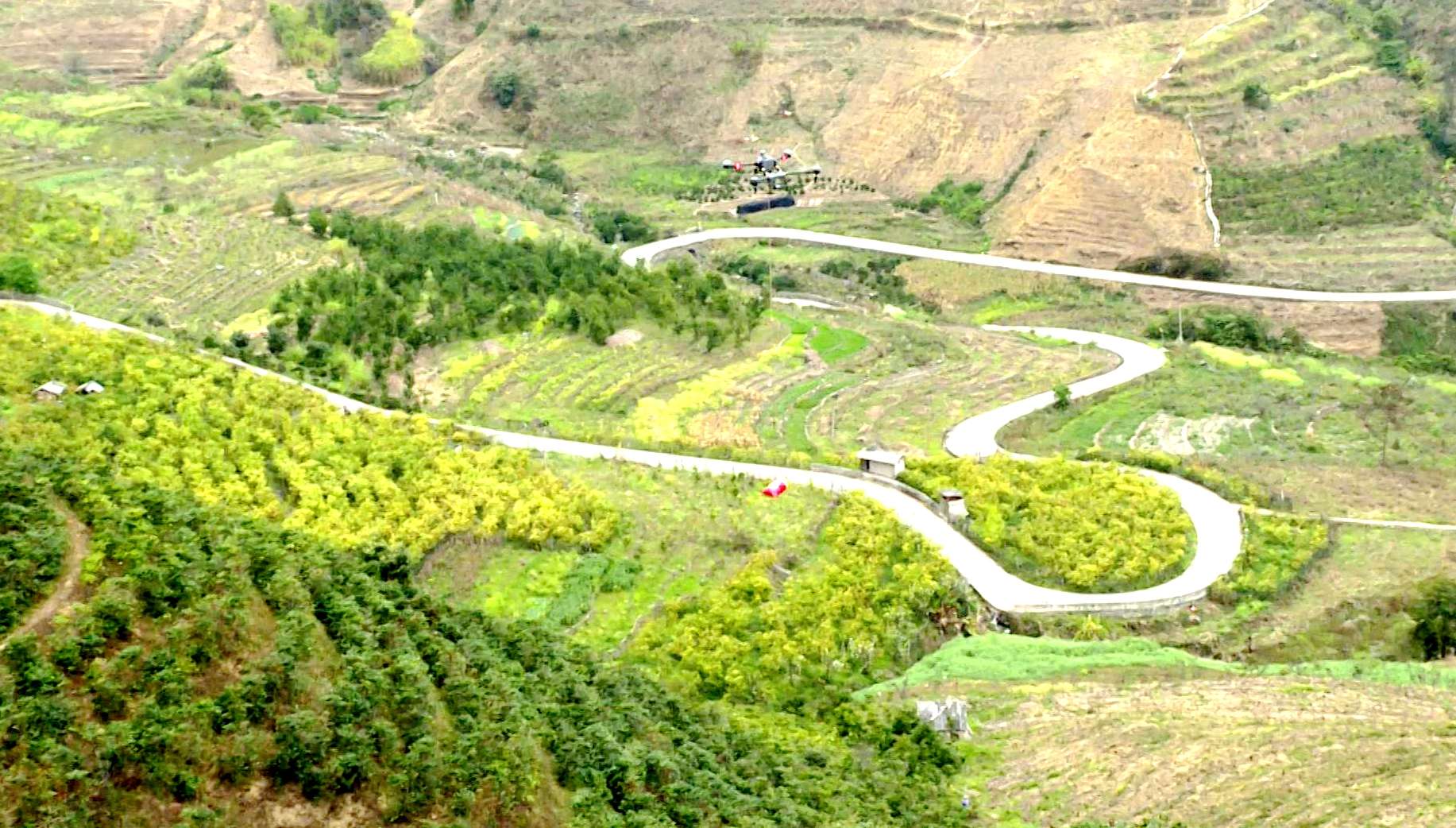 试飞成功!这个惠农“新帮手” 省时!省力!