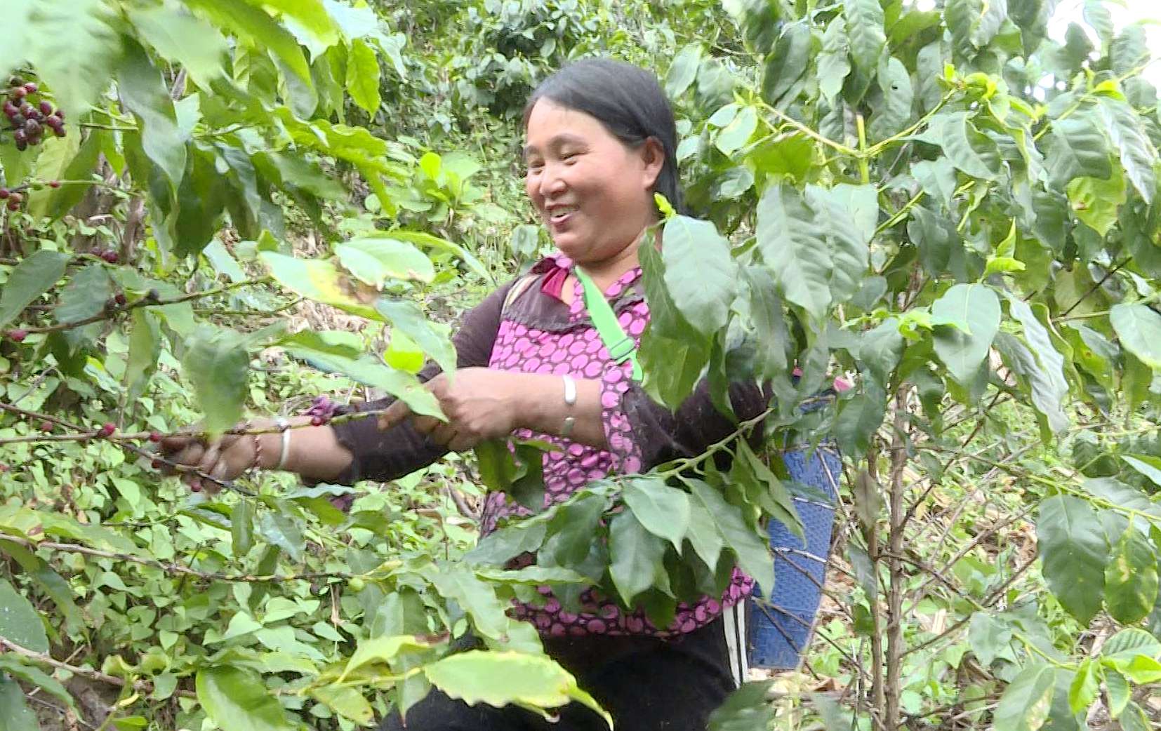 试飞成功!这个惠农“新帮手” 省时!省力!