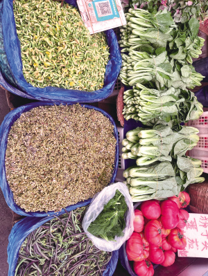 15101710266286455 15101710266286455