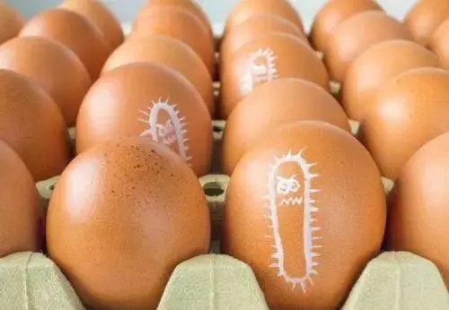 鸡蛋上有一样东西很脏，不注意小心“病从口入”