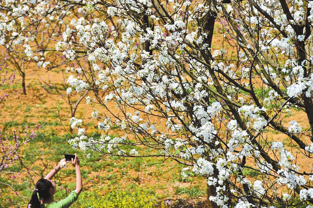 912a5ce2-65d1-4671-9994-f76aa8100a36