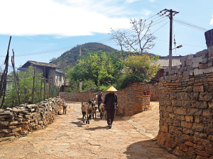 石林糯黑村 本版图片 ■ 都市时报全媒体记者 刘巧红
