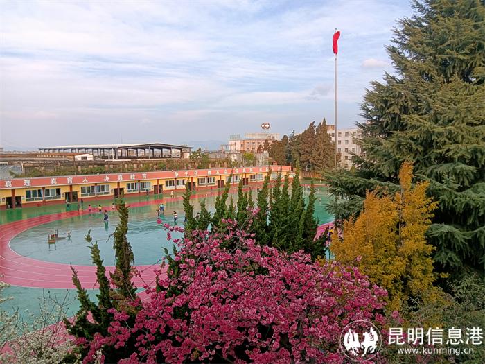 校园景致 校园景致