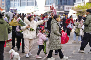 2月12日，游客在昆明斗南花卉市场游玩买花 新华社记者 陈欣波　摄