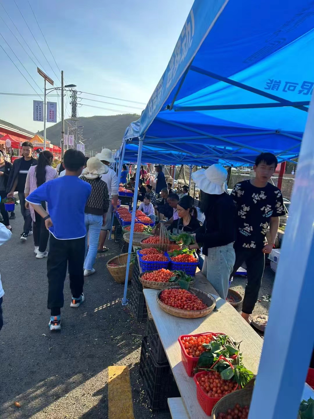 红火的鲁甸小寨镇樱桃交易市场.jpg