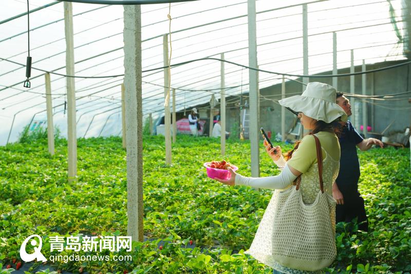 网络名人“触电”谷雨 玩转传统农耕文化 探寻春日悠然时光