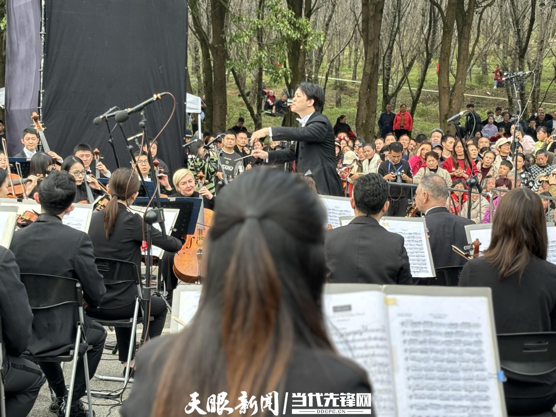 贵阳路边音乐会·贵安樱花园专场交响乐现场。丁亚 文丹 摄.JPG