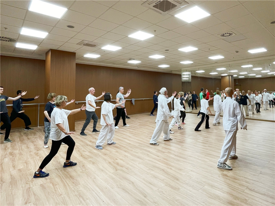 当地学生们在学习太极。贝尔格莱德中国文化中心供图