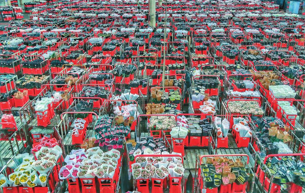 企业微信截图_17159990528569