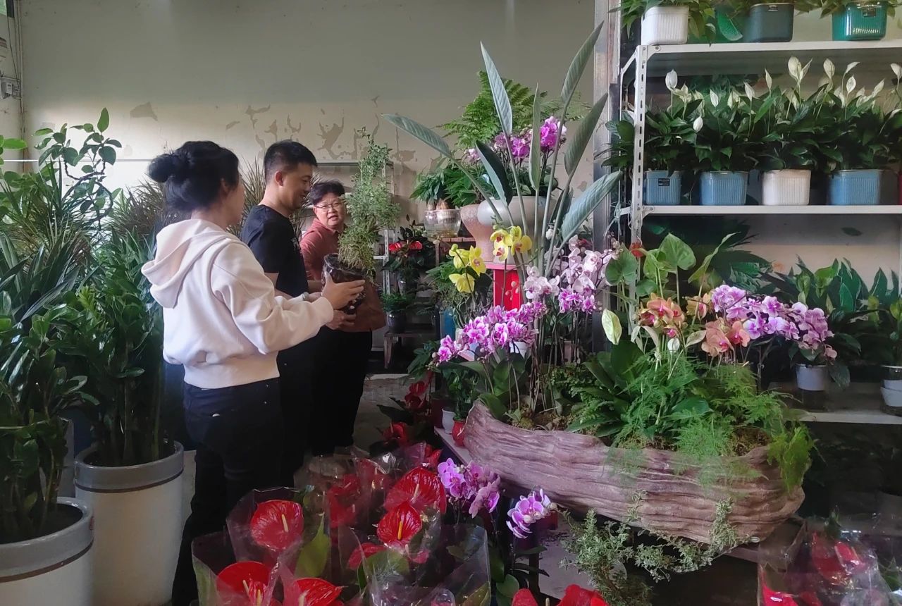 1717661808971859.jpg 1.jpg