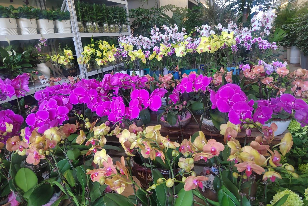 1717661822438030.jpg 3.jpg