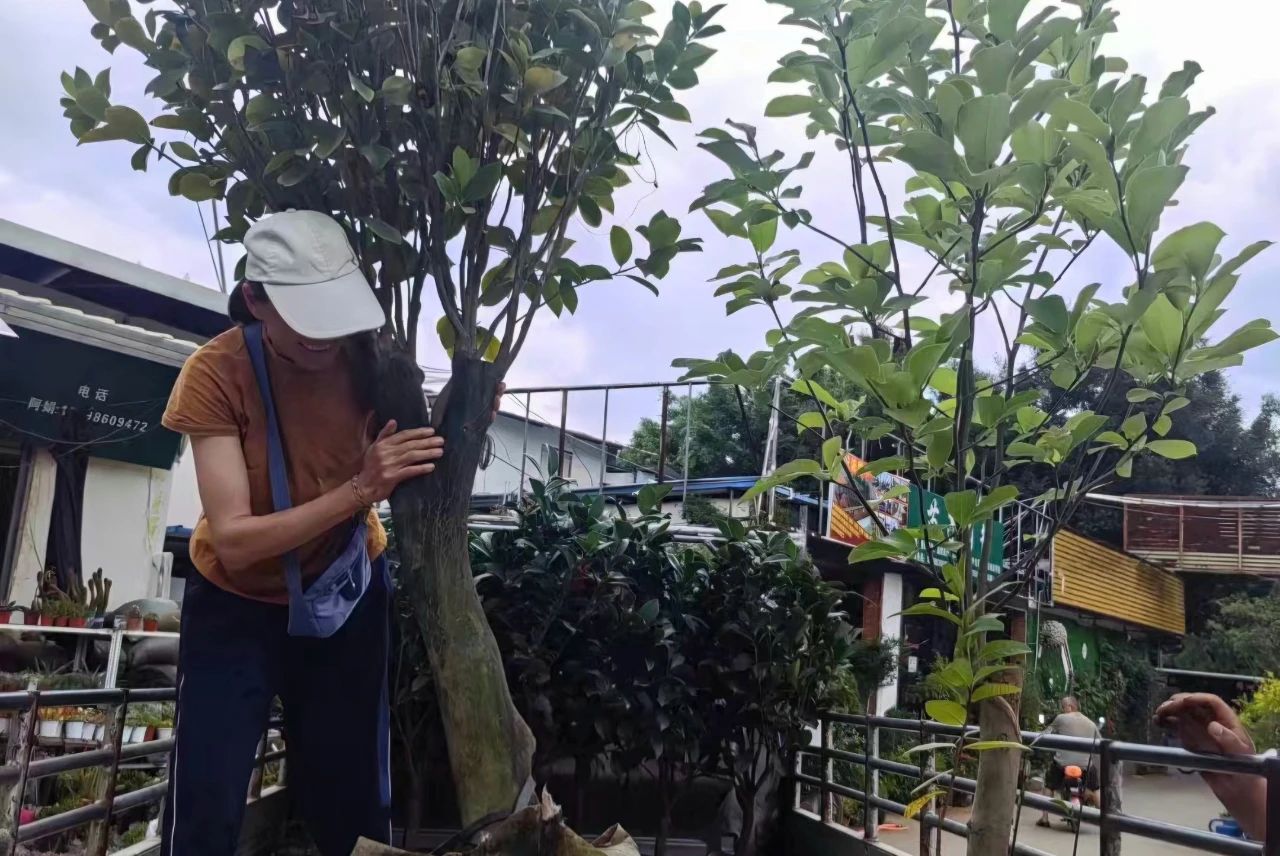 1717661827444678.jpg 4.jpg