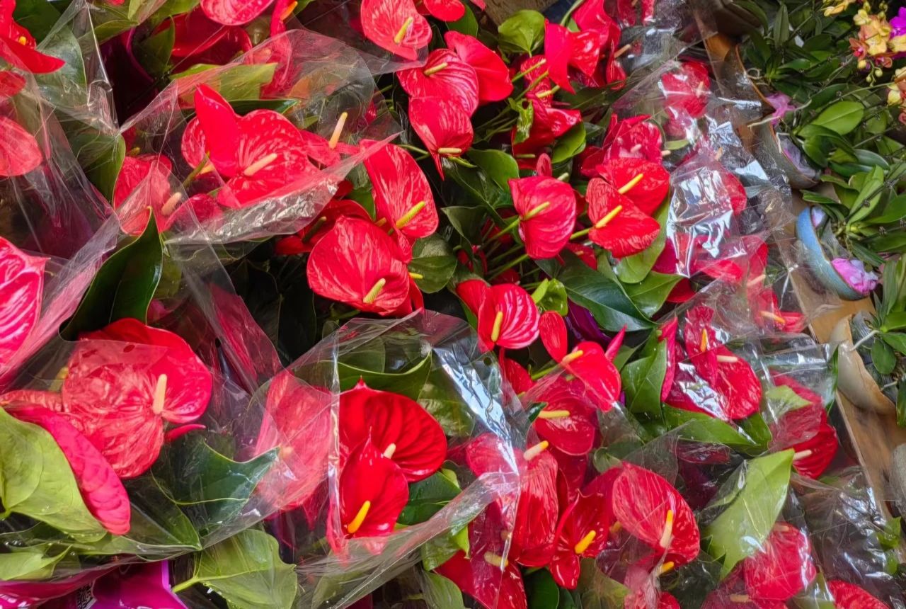 1717661833837131.jpg 5.jpg