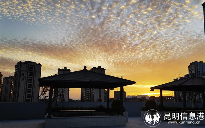 IMG_20240111_183234_edit_926075650973793(1) IMG_20240111_183234_edit_926075650973793(1)