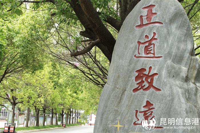 环城南路校区文化石 环城南路校区文化石