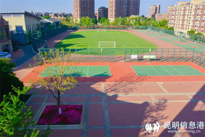 20210402-_DSC6443 20210402-_DSC6443