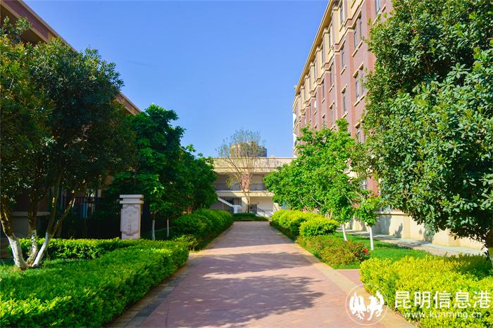 20210402-_DSC6474 20210402-_DSC6474