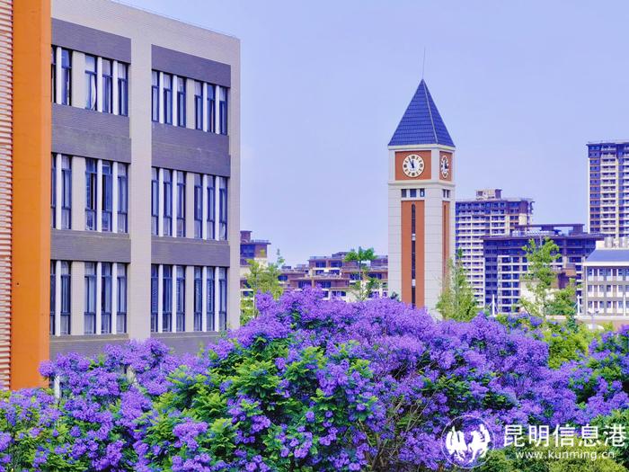 学校教学楼_副本 学校教学楼_副本