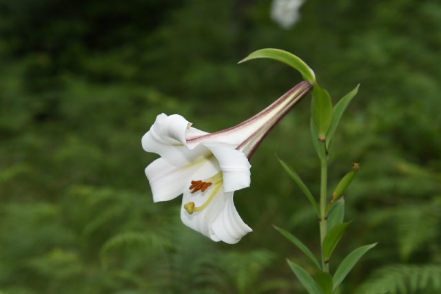 龚强帮 摄影 (3).jpg