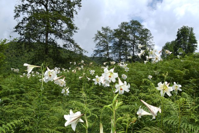 龚强帮 摄影 (1).jpg