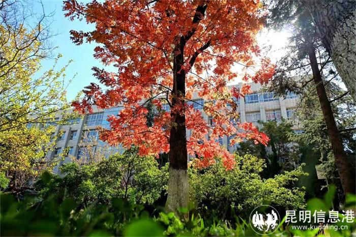 陈亚img_5730A 陈亚img_5730A