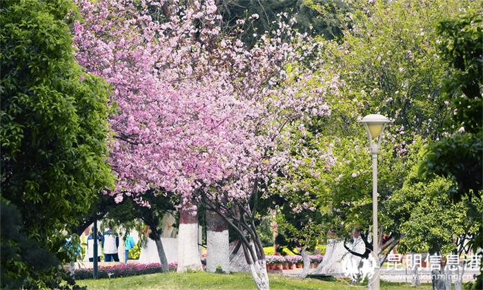 多彩一中 多彩一中