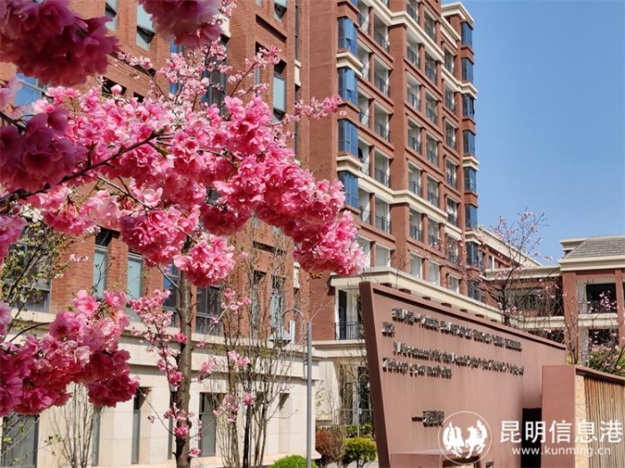 IMG_20210315_111905 IMG_20210315_111905