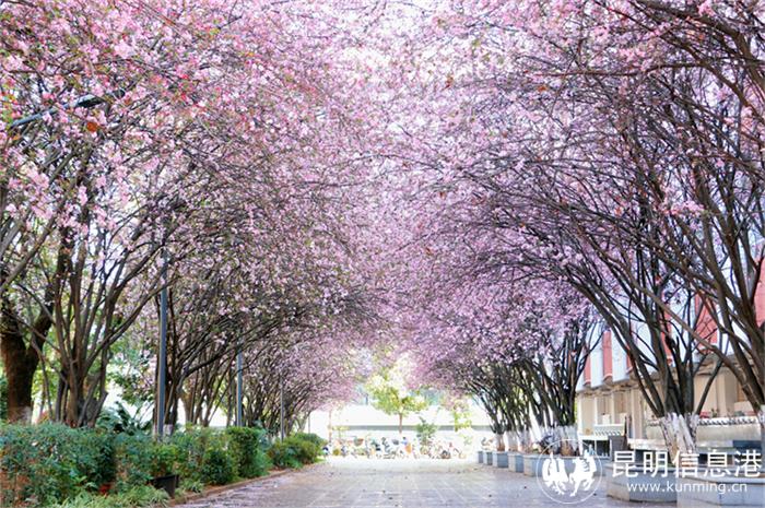 1微信图片_20240607183142 1微信图片_20240607183142