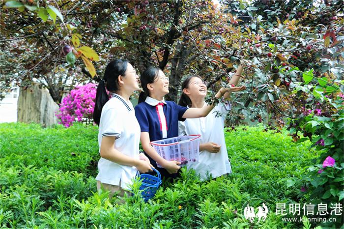 5微信图片_20240607183213 5微信图片_20240607183213