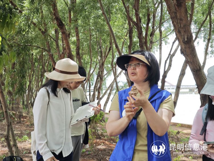 1649418_2048x2048 1649418_2048x2048