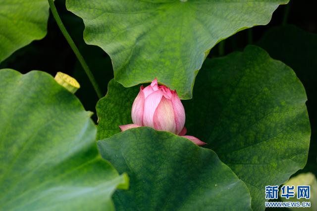 20240625a2fc75703f8040958dc805cb6bf207f4_2024062540b08020322d4fd9bea78978a1b326e5