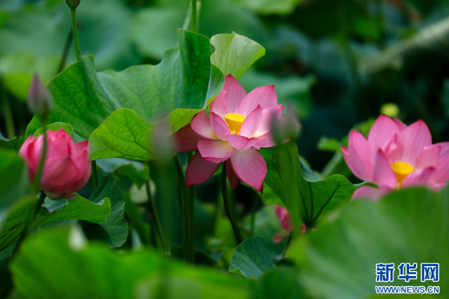 20240625a2fc75703f8040958dc805cb6bf207f4_2024062554aa41a052dc479f8cc456e75915e6ea