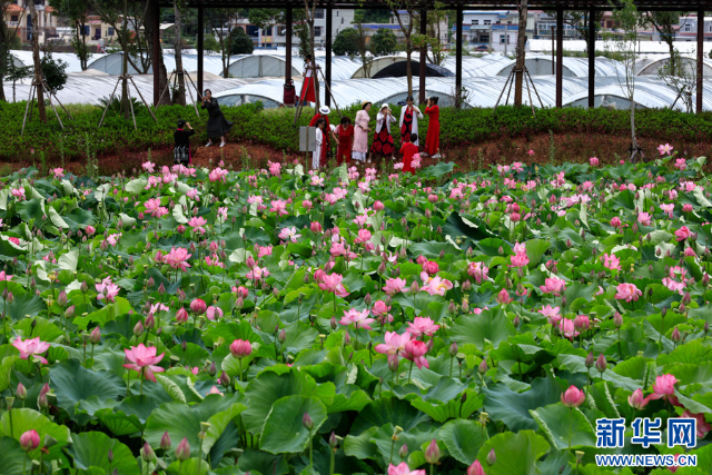 20240625a2fc75703f8040958dc805cb6bf207f4_20240625b3ca86239266481fa99e29538e9ac6b6