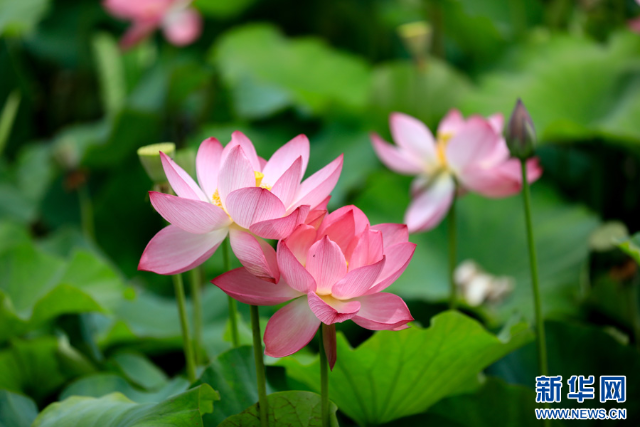 20240625a2fc75703f8040958dc805cb6bf207f4_2024062571059b9c860f4e468aa7b57f7391ec2a