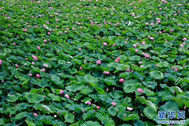 20240625a2fc75703f8040958dc805cb6bf207f4_2024062530ba52a894674329b7c20409bb3af3a3