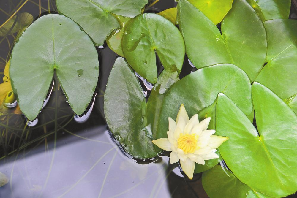 企业微信截图_17198816189948