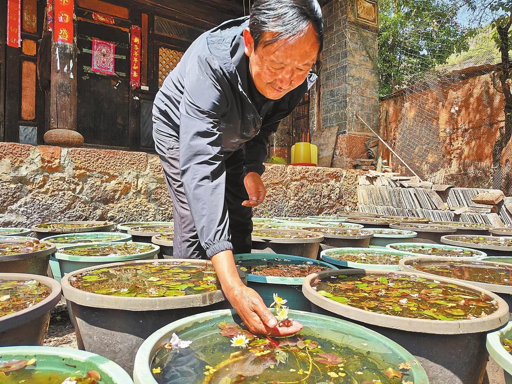 企业微信截图_17198816231090