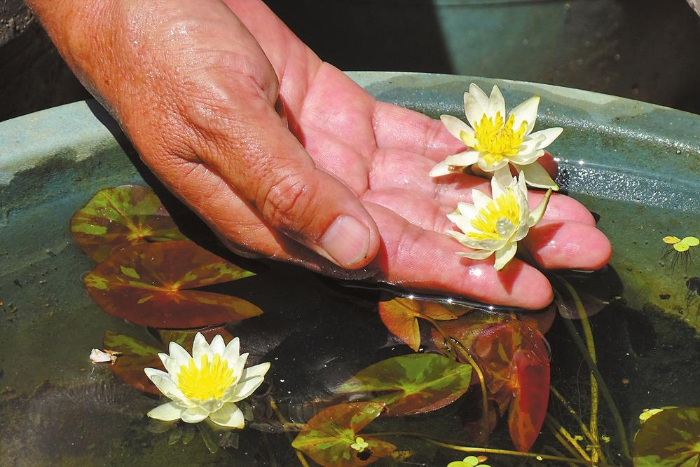 企业微信截图_17198816299242