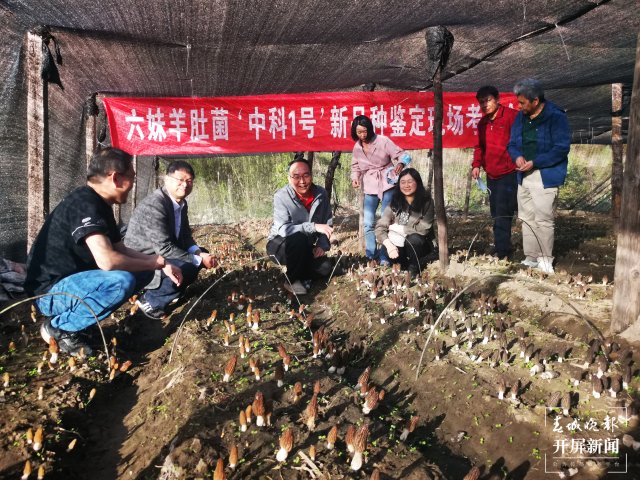 微信图片_20240725184514.jpg